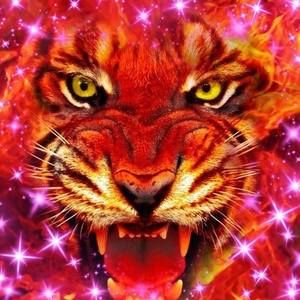 Meet your Posher, Jesus